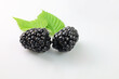 Jeżyny, jeżyna, blackberries on a white background