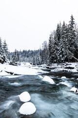 Wall Mural - Snow covered trees and wild river in mountains at winter