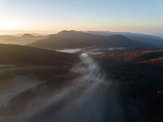 Poster - Aerial view of misty wild forest at sunrise. Drone photography.  Mountain autumn background.