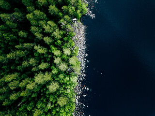 Poster - Aerial view of blue lake stone shore and and green woods with pine trees in Finland.