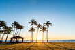 palm trees at sunset on hawaiian island of kauai