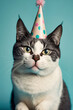 Portrait von einer Katze mit Partyhut und Geburtstagstorte am Geburtstag feiern vor pastellfarbenen Hintergrund