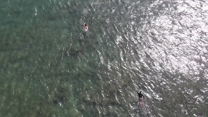 Wall Mural - Surfers paddling out into the ocean