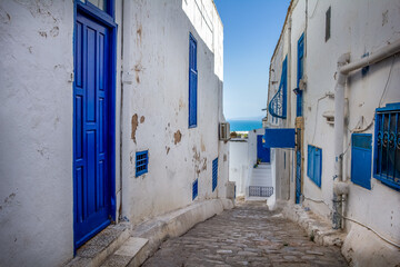 Wall Mural - The village of Sidi Bou Said, Carthage, Tunisia