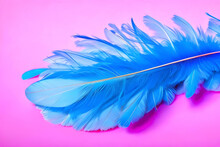Pink And Blue Feathers