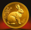 Chinese New Year 2023 year of the rabbit. Gold wealth coin,  Generative ai