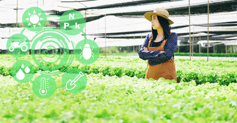 smart farm modern agricultural technology hydroponic planting in the hydroponic vegetables system organic, eco friendly gardening nature digital farm, smart farming innovation