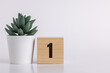 © rohane - Number  1 on wooden pine block on white background next to a succulent plant with room for copy or print, useful for calendar and event graphics.