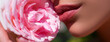Lips and rose, close up spring banner. Beautiful female mouth. Plump full lips. Beautiful woman lips with rose.