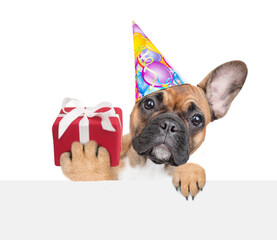 Poster - French Bulldog puppy holds gift box and looks above empty white banner. isolated on white background