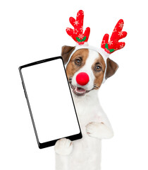 Poster - Jack russell terrier puppy dressed like santa claus reindeer  Rudolf holds big smartphone with empty screen in it paw, showing close to camera. isolated on white background