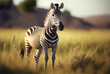 Zebra in natural grassland, surrounded by long grass. AI-Assisted Image.