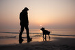 Ein Mann mit seinem Hund als Silhouette bei Sonnenuntergang am Strand.