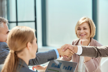 Wall Mural - close-up. financial partners shaking hands. concept of cooperati