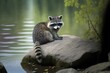 At Zoom Experience World, a raccoon relaxes on a rock next to the lake. Generative AI