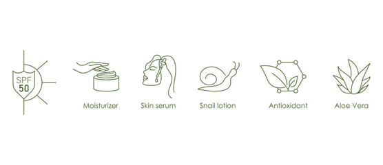 Wall Mural - spf 50, moisturizer, skin serum, snail lotion, anti oxidant, aloe vera icon set vector illustration 