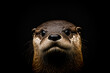 Cute otter portrait on black background. Otter face close up with copy sapce for postcards or as a design element. Generative AI sea or river otter face portrait.