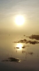 Wall Mural - flight over the surface of the river in the fog at dawn. vertical video
