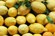 Zitronen aus Amalfi