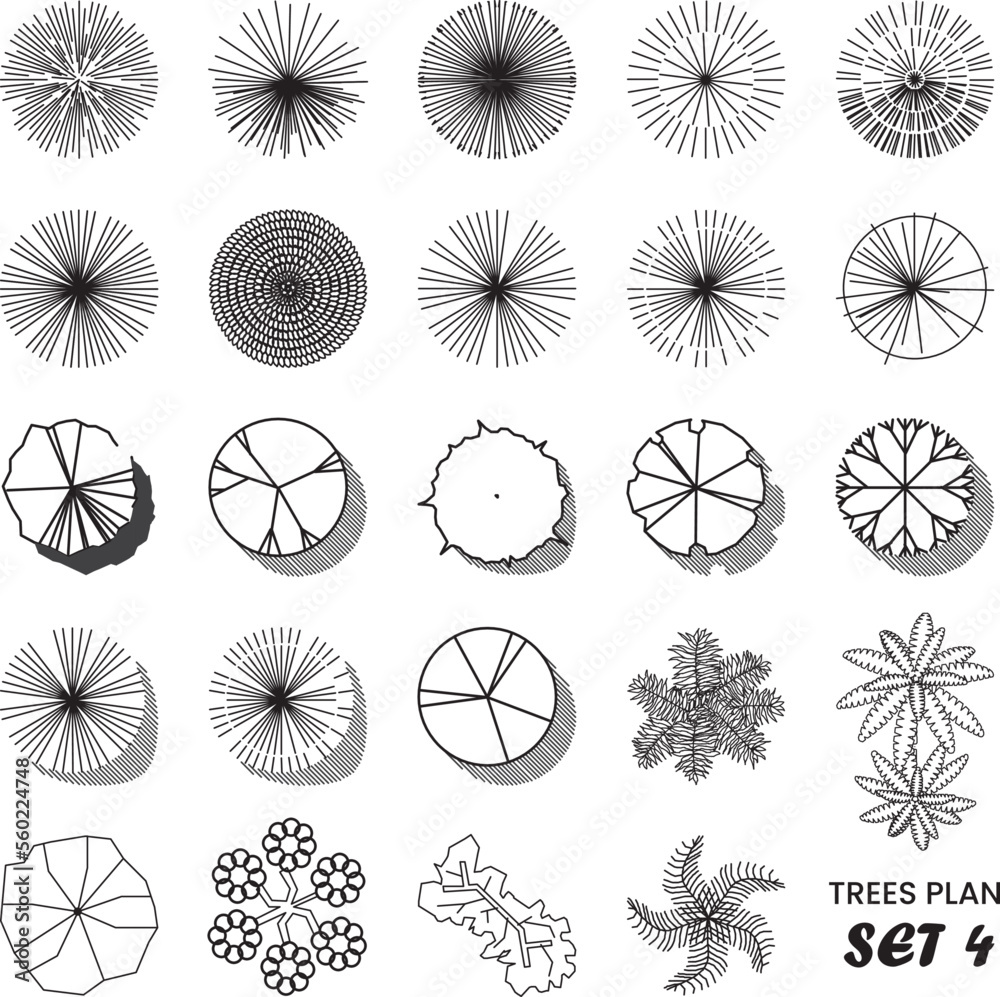 Architectural Drawing Trees Plan Set 4 Stock Vector | Adobe Stock