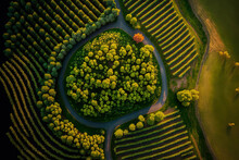 At Sunset, A Top Down Aerial Photograph Shows A Lush Summer Vineyard In Rammersweier, Offenburg, Germany. Generative AI