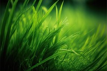  A Close Up Of A Grass Field With A Blurry Background Of The Grass And The Grass Is Green And Has Very Little Leaves On It's Stems, And The Grass Is Very Thin.