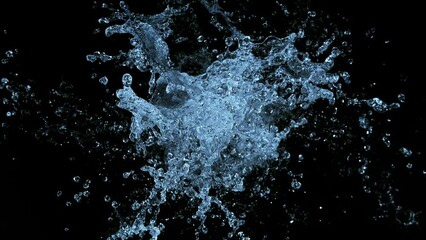 Canvas Print - Super slow motion of splashing water crown shape on black background. Filmed on high speed cinema camera, 1000fps. Top view shot.