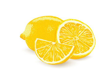 Wall Mural - Lemon slice vector illustration on white background