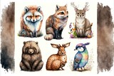 Fototapeta Dziecięca - Animal set hedgehog, fox, squirrel, deer, hare, owl, raccoon, bear in watercolor style. AI
