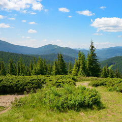 Wall Mural - bright mountain landscape and blue sky with white clouds.