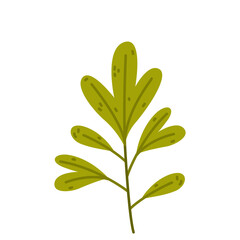 Wall Mural - Floral Twig with Green Leaves as Cute Foliage Vector Illustration