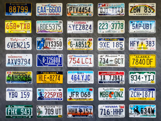 Collection of old license plates displayed on a wooden wall.