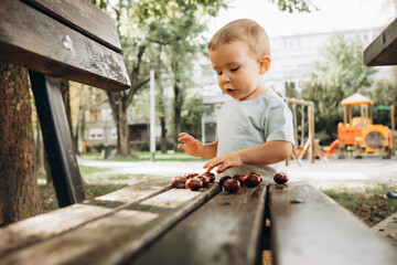 a child plays on a wooden bench with chestnuts