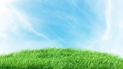 Wall Mural - mountain grass with blue sky loop. 3d rendering. grass swaying soft wind with shine light in the mor