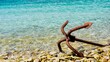 Closeup of an old grapnel anchor lying abandoned and rusting, on the water's edge of a pebbled beach in the Falkland Islands.