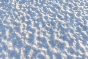 Wall Mural - Abstract natural background of melting snow