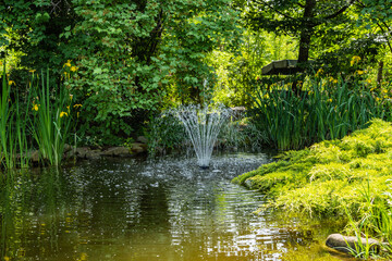 Wall Mural - Beautiful cascading fountain in magical garden pond. Bolted irises bloom with yellow flowers along shore. Sun is reflected in mirror-clear water. Atmosphere of relaxation, tranquility and happiness.