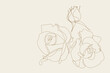 Flowers in continuous line drawing style. Rose flower minimalist linear design on a white background.