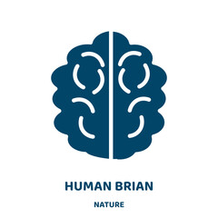 Poster - human brian vector icon from nature collection. head filled flat symbol for mobile concept and web design. Black human glyph icon. Isolated sign, logo illustration. Vector graphics.