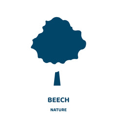 Wall Mural - beech vector icon from nature collection. nature filled flat symbol for mobile concept and web desig