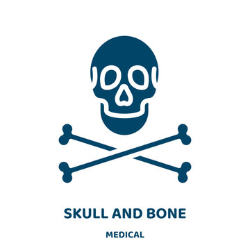 skull and bone vector icon from medical collection. skeleton filled flat symbol for mobile concept and web design. Black skull glyph icon. Isolated sign, logo illustration. Vector graphics.