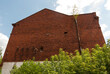 Fasada  dużego , starego budynku przemysłowego ( fabryka) zbudowanego z czerwonej cegły . Przy rynnie na ścianie rośnie drzewo ( brzoza) .