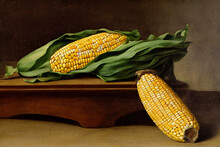 Some Corn Cobs On A Wooden Table, In A Pictorial Painting Artwork Still Life Illustration