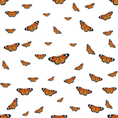 Wall Mural - Tropical butterfly seamless hand drawn pattern. Butterfly background in flat style. Cute cartoon insects isolated on white background. Vector illustration