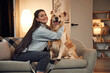 © standret - Playing and sitting on the sofa. Woman is with golden retriever dog at home
