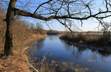 Wall Mural - leafless tree over cool river