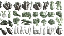 The Hand-drawn Vegetable Collection, Isolated Elements.