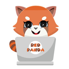 Cute Red Panda  Working On Laptop Cartoon Vector Icon Illustration. Animal Technology Icon Concept Isolated Premium Vector. Flat Cartoon Style