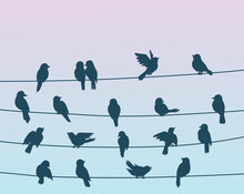 Sparrow Birds Flock On Power Line Wires. Spring Or Autumn Nature Background With Blackbird Or Sparrow Birds Silhouettes Flying And Sitting On Electric Cables, Wildlife Vector Wallpaper Or Backdrop