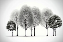 Group Of Trees On A White Background. Generative AI
